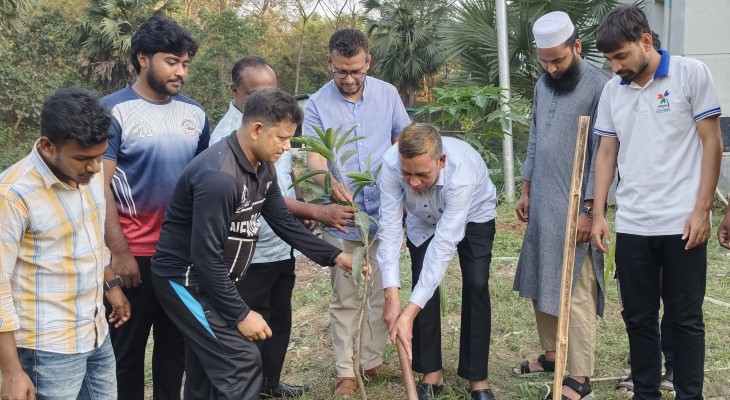 বিজয়-২৪ হলের উদ্যোগে কুবিতে বৃক্ষরোপণ কর্মসূচি