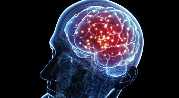 মানুষ কি সত্যিই মস্তিষ্কের মাত্র ১০ শতাংশ ব্যবহার করে?