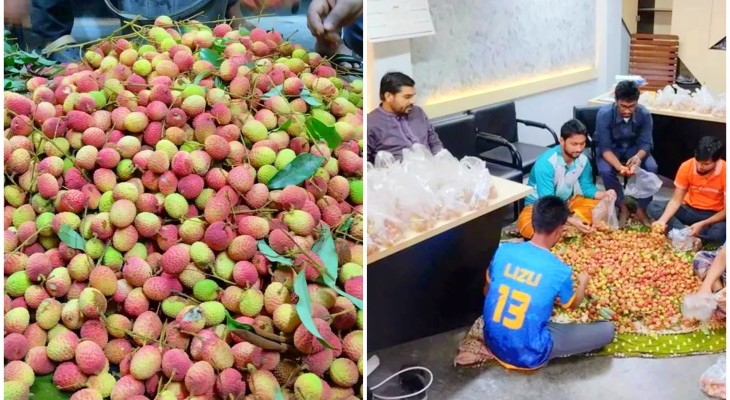 রাবি হলের রুমে রুমে পৌঁছে গেল গাছের লিচু