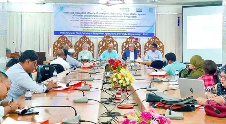 বাকৃবির গবেষণায় ভুট্টার অ্যাফ্লাটক্সিন দূষণ ৯০ শতাংশ কমানোর সাফল্য