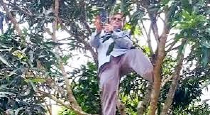রাঙামাটির দুর্গম পাহাড়ে নেটওয়ার্কের সন্ধানে গাছে বসে হাজিরা