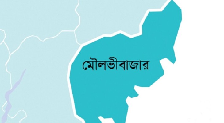 মৌলভীবাজার আইনজীবী সমিতির বারে হামলা, আহত ২