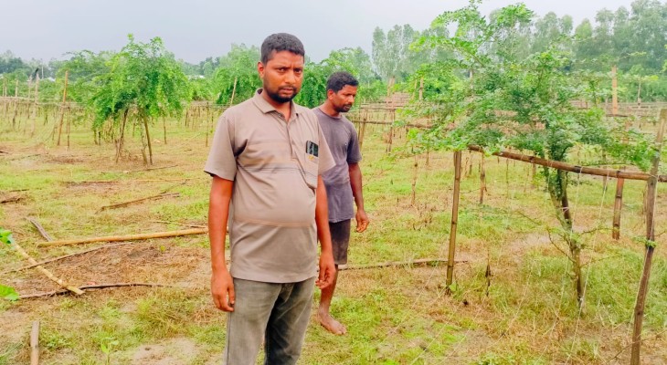 বীরগঞ্জে লাউগাছ কাটাকে কেন্দ্র করে থানায় অভিযোগ, উত্তেজনা