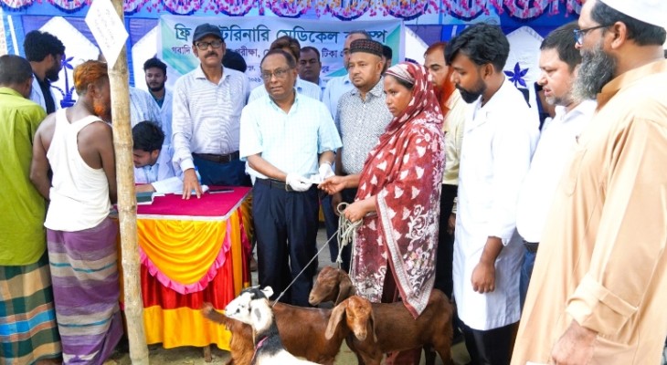 হাবিপ্রবি ভেটেরিনারি টিচিং হাসাপাতালের বিনামূল্যে গবাদি প্রাণীর স্বাস্থ্য পরীক্ষা, টিকা ও চিকিৎসা প্রদান