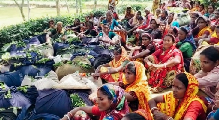 চা শ্রমিকদের ভাতার অর্থ আত্মসাতের অনিয়মে অভিযোগ 