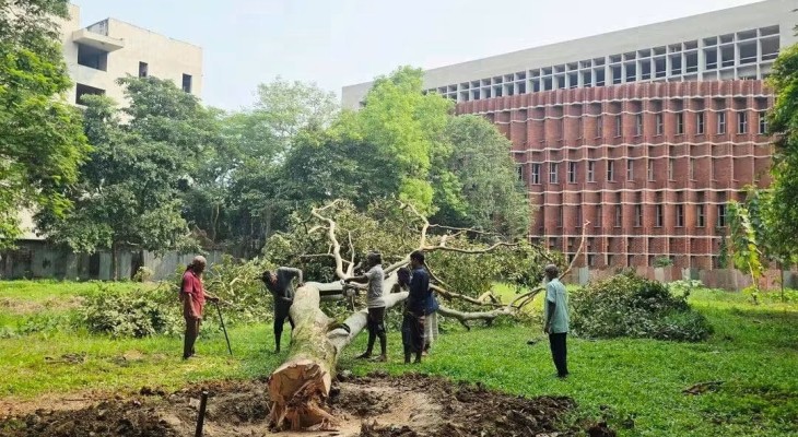 জাবিতে লাইব্রেরির পাশে মাঠ নির্মাণ নিয়ে তিন পক্ষের ভিন্নমত