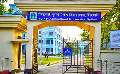 চাকরী গেলো সিকৃবি কর্মচারী অর্পনা কুমারীর